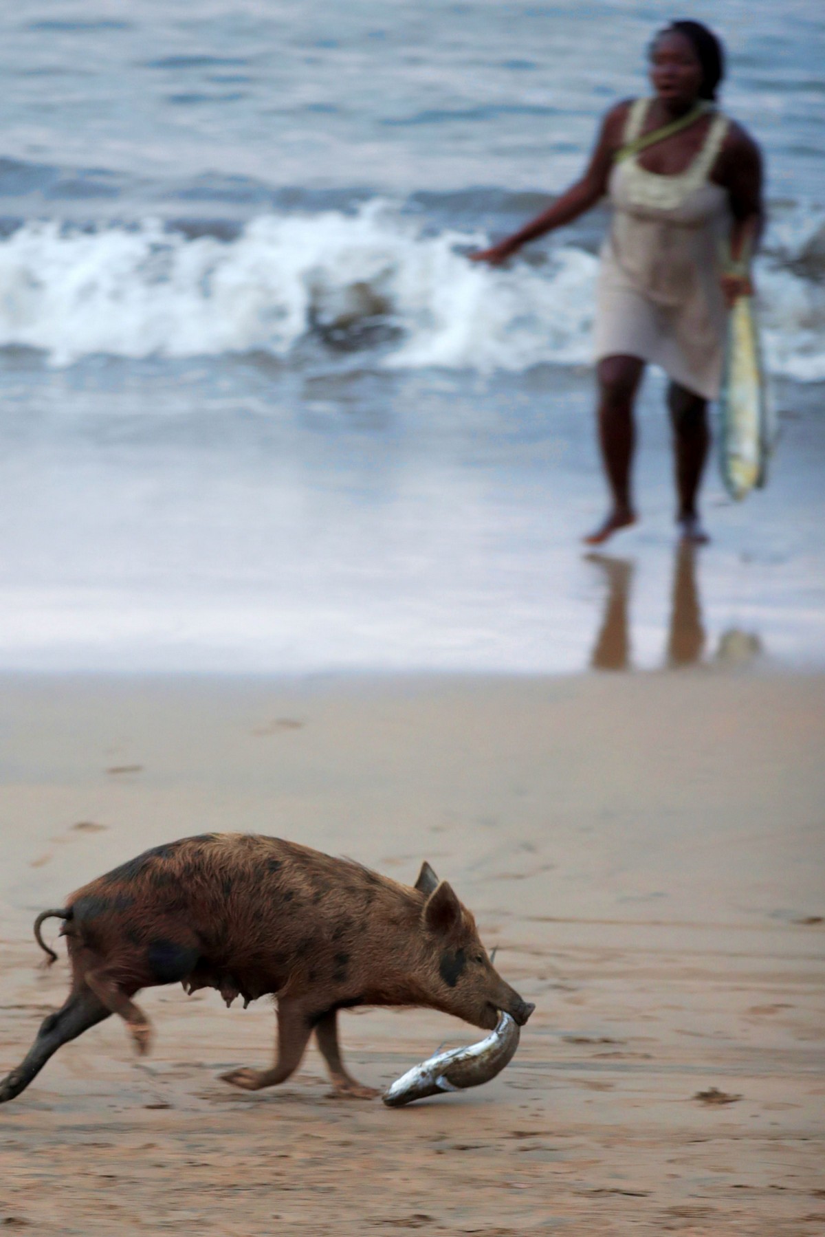 ���������