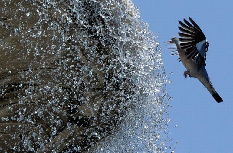 ���������