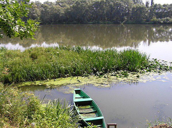 ���������