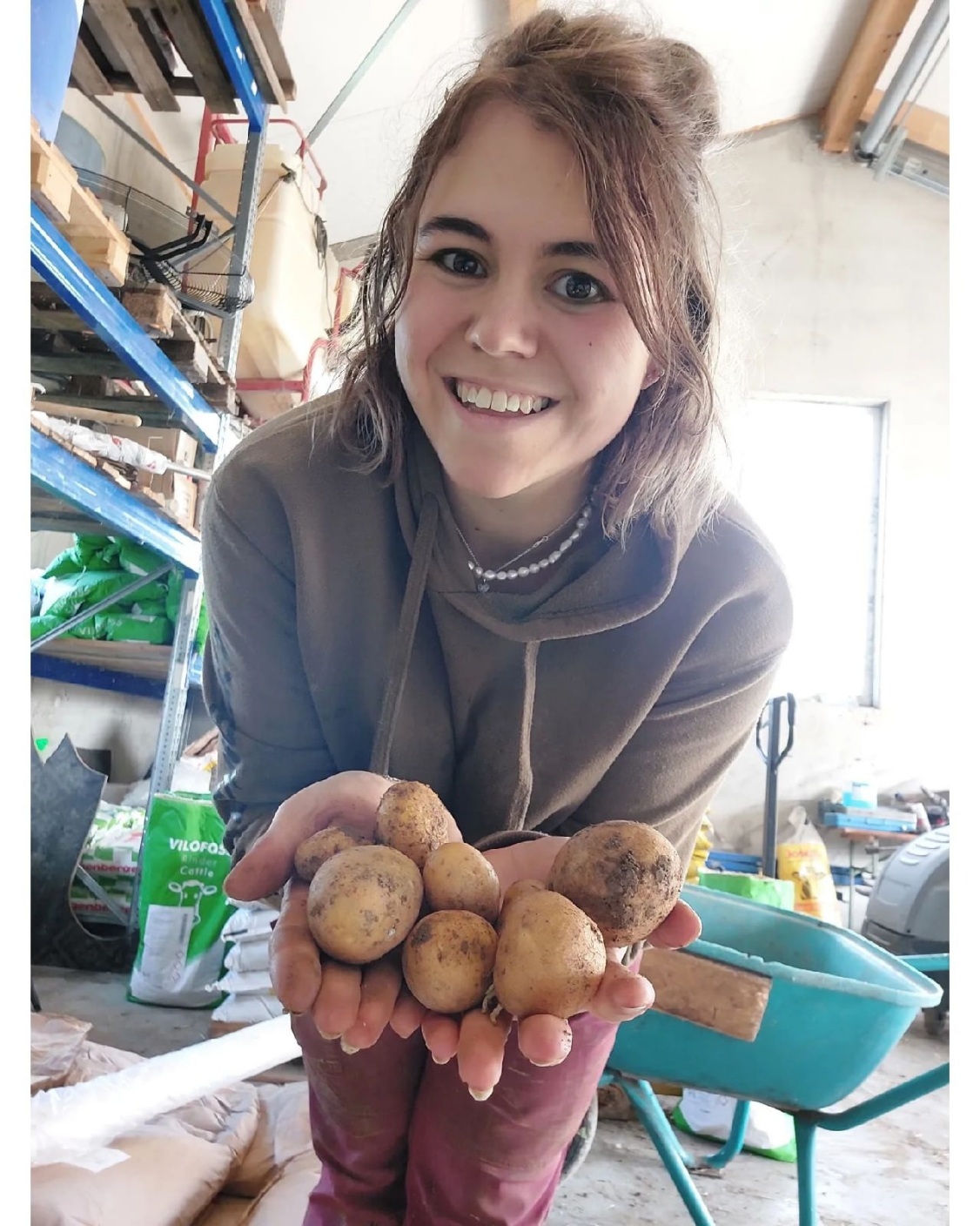 ���������