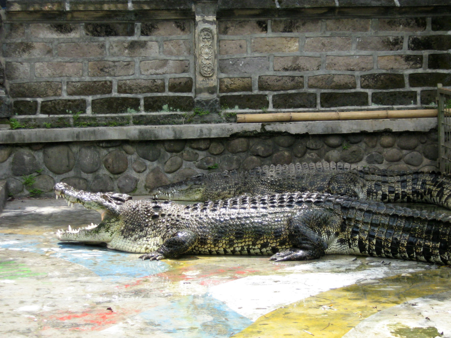 ���������