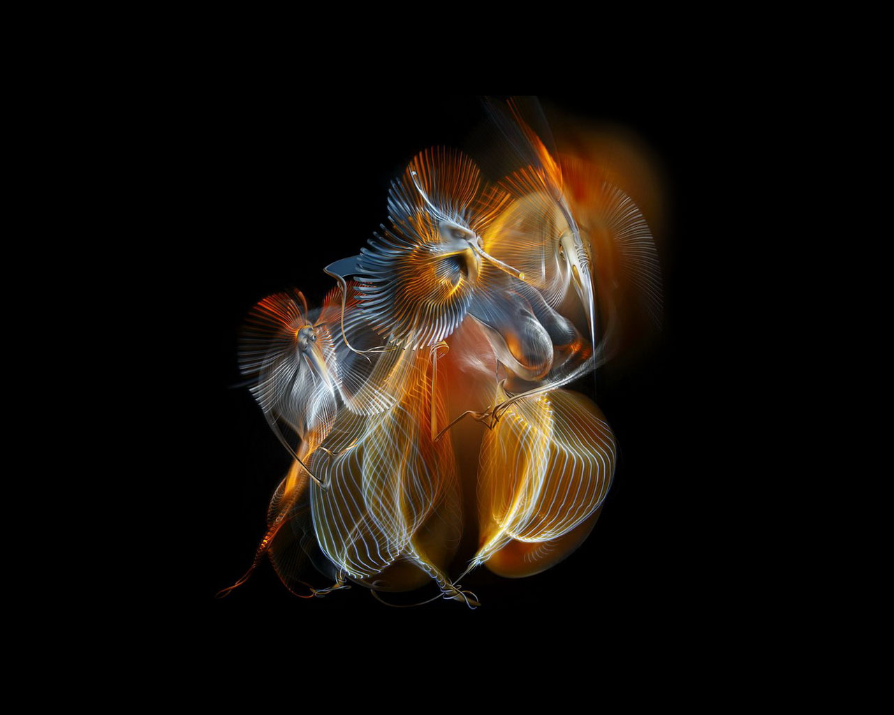 ���������