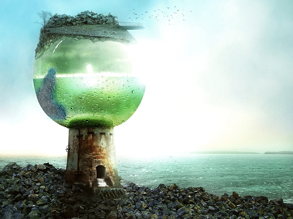 ���������