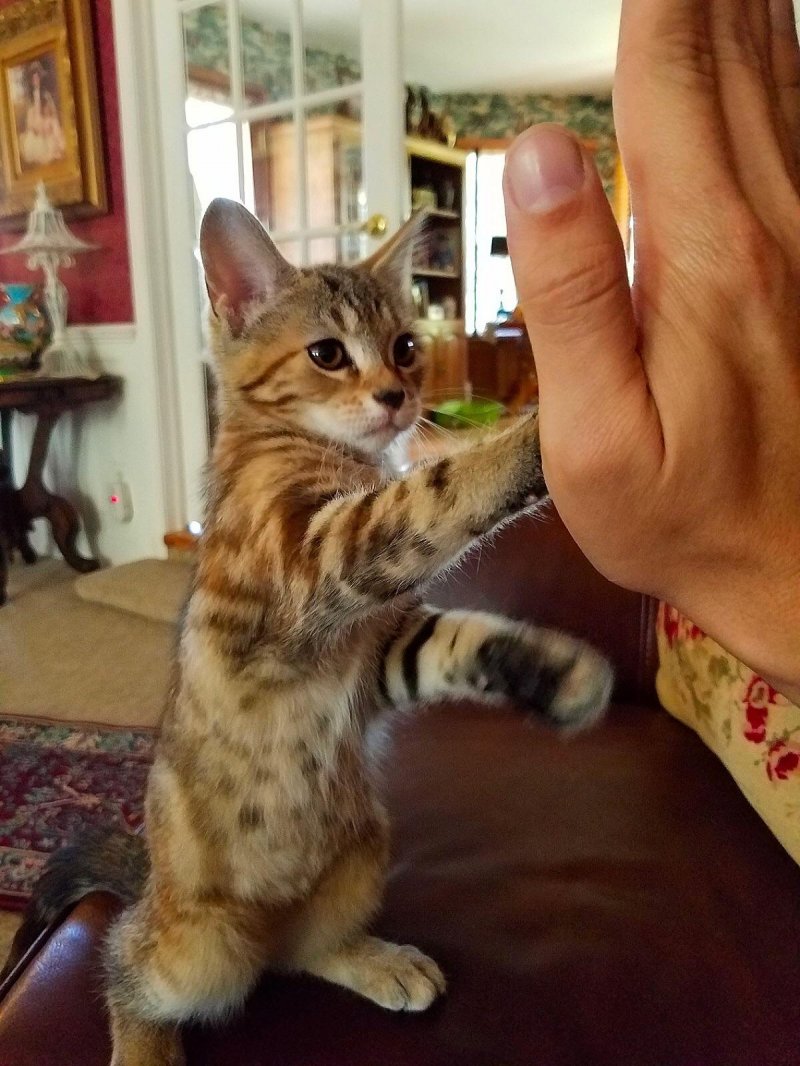 ���������