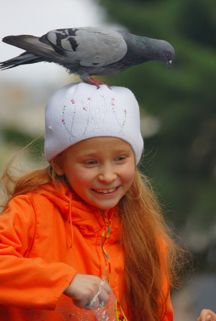 ���������