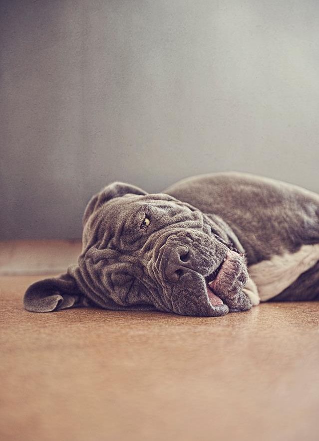 ���������