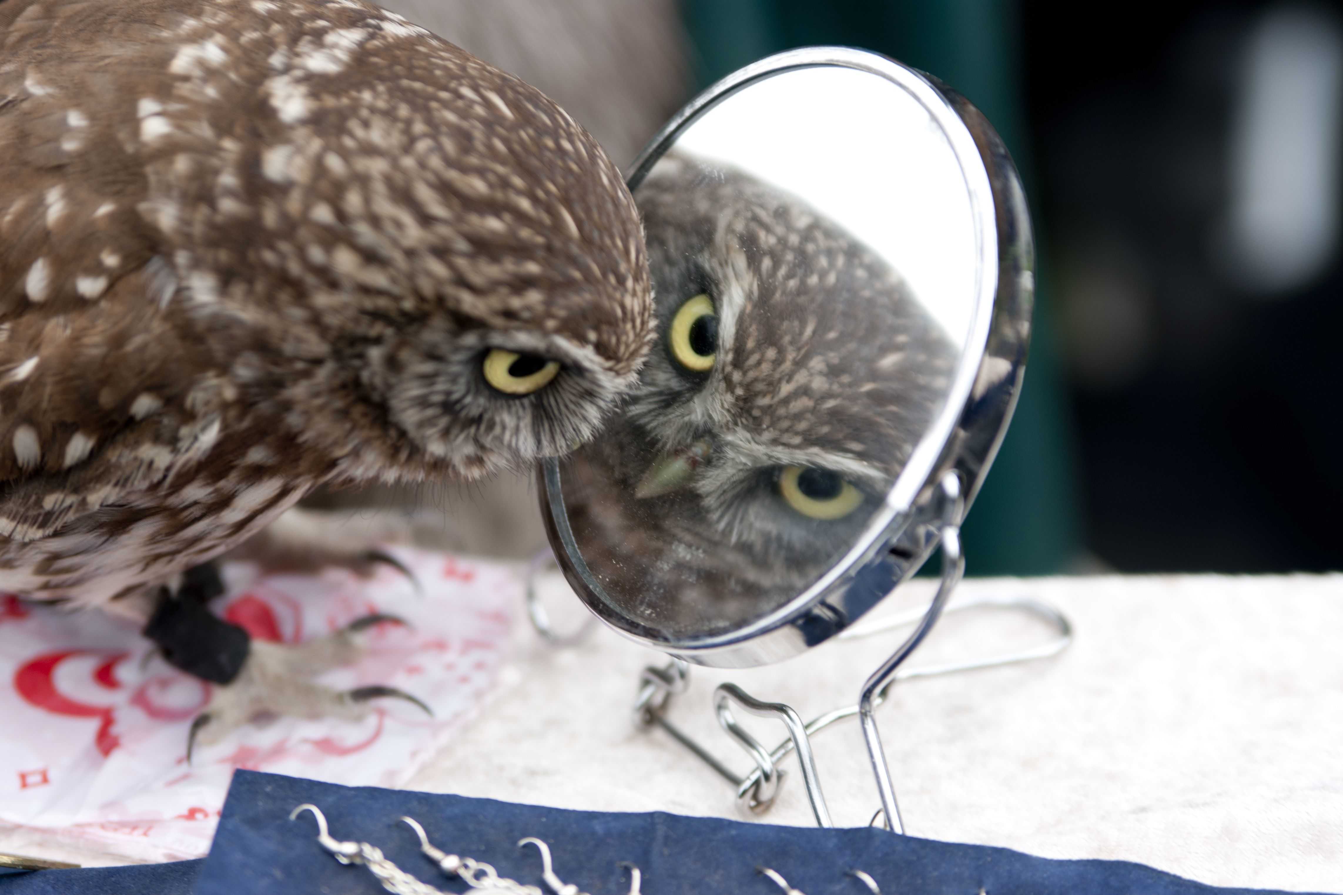 ���������