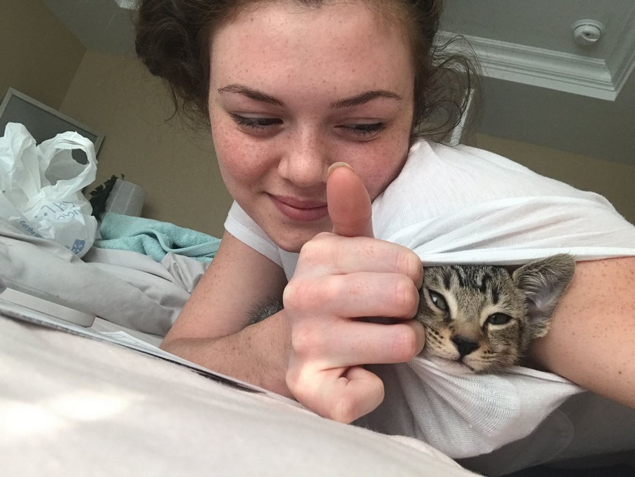 ���������