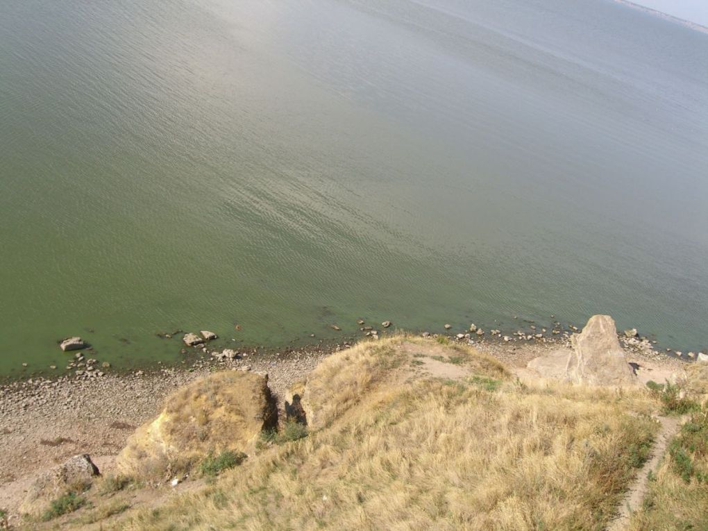 ���������