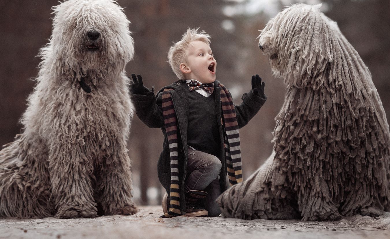 ���������