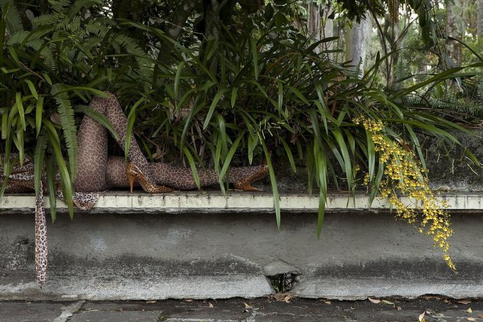 ���������