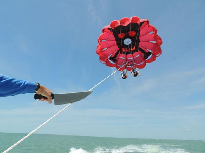 ���������