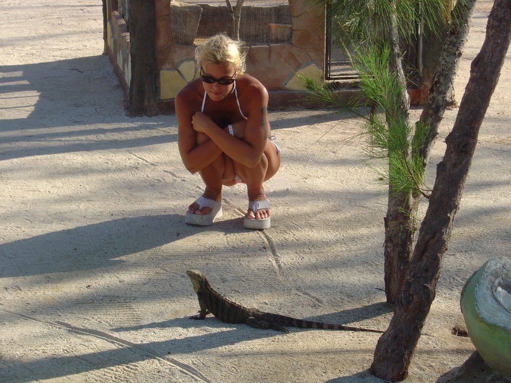 ���������