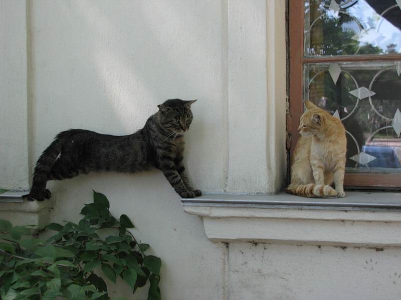 ���������