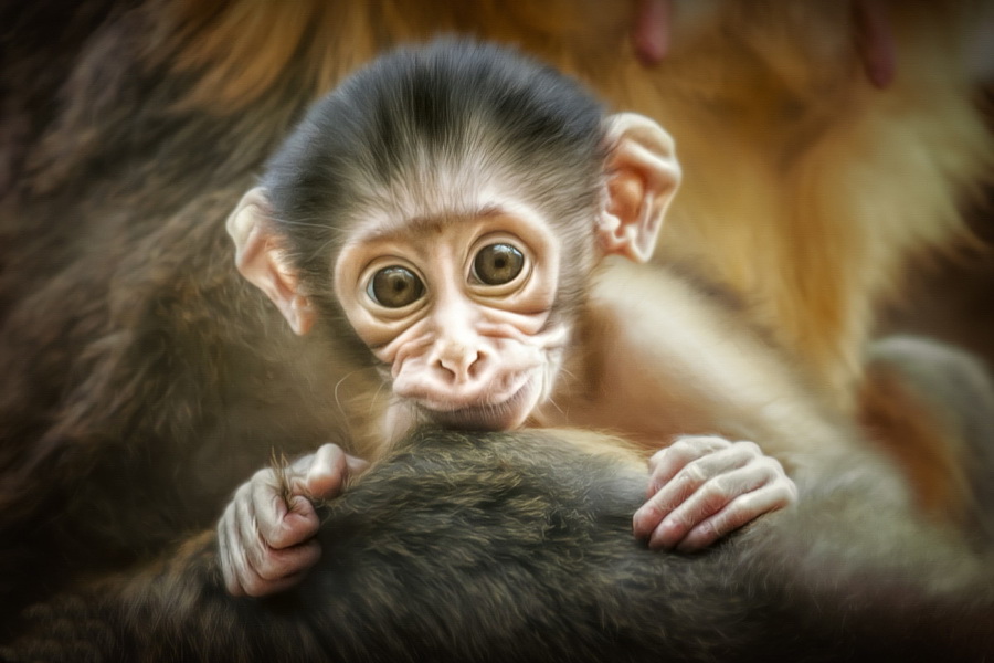 ���������