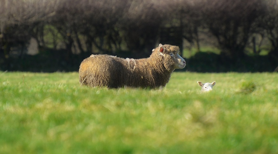 ���������