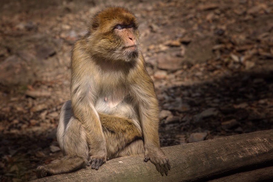 ���������