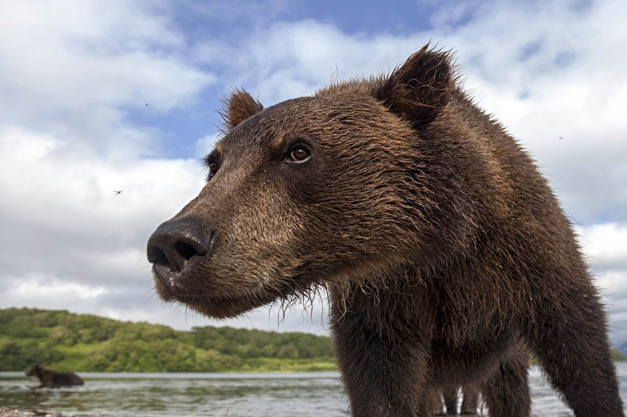 ���������