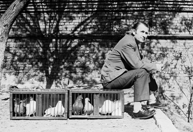 ���������