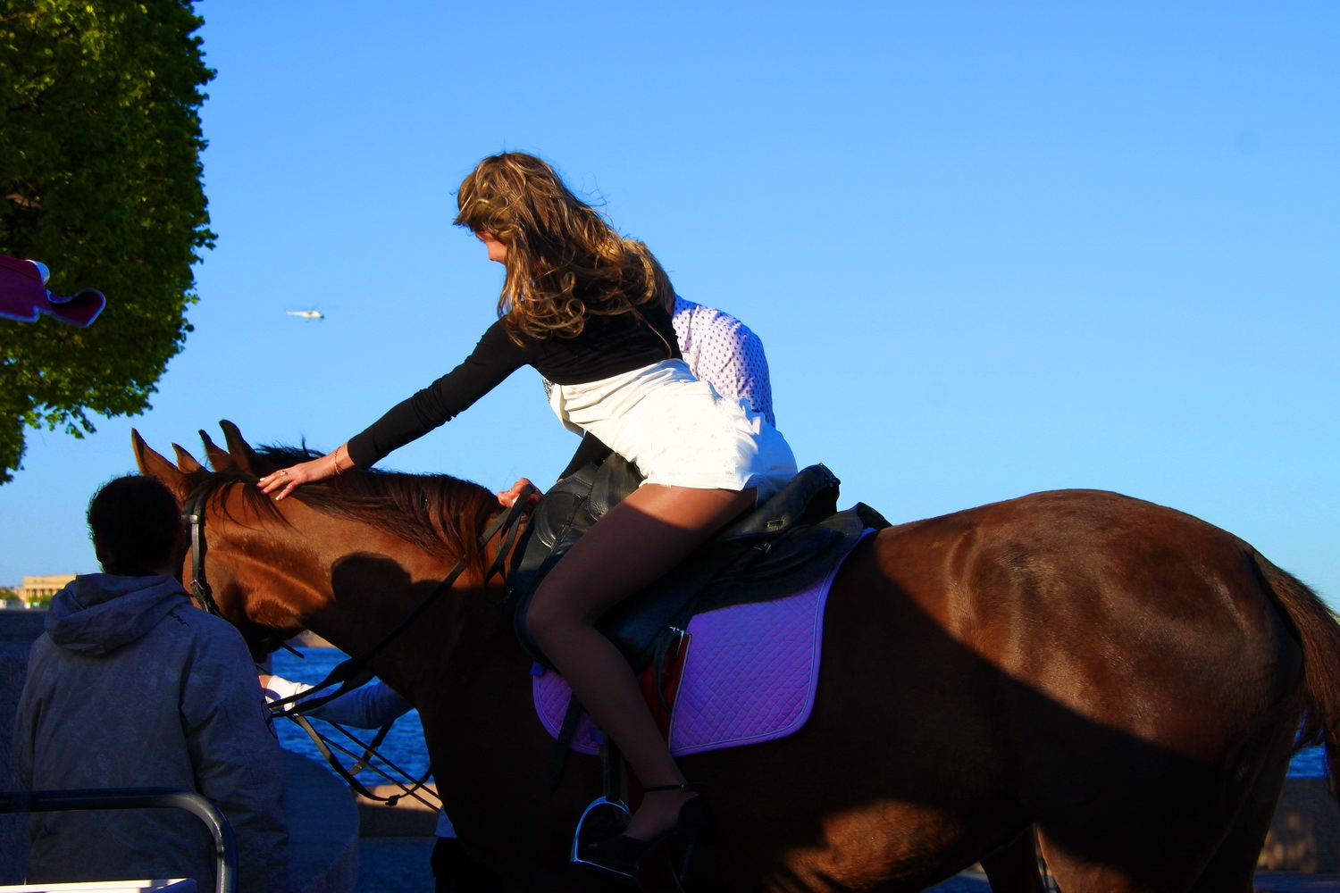 ���������