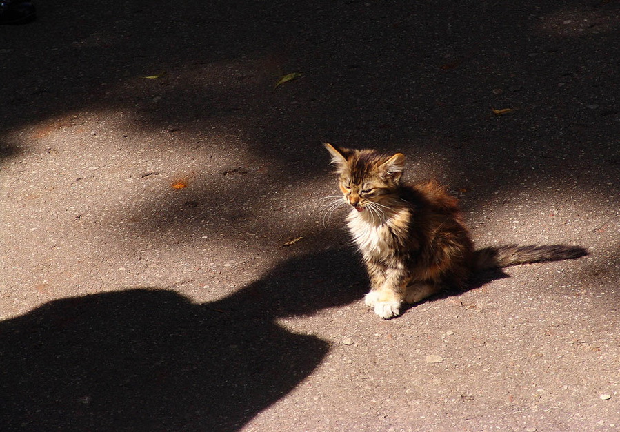 ���������