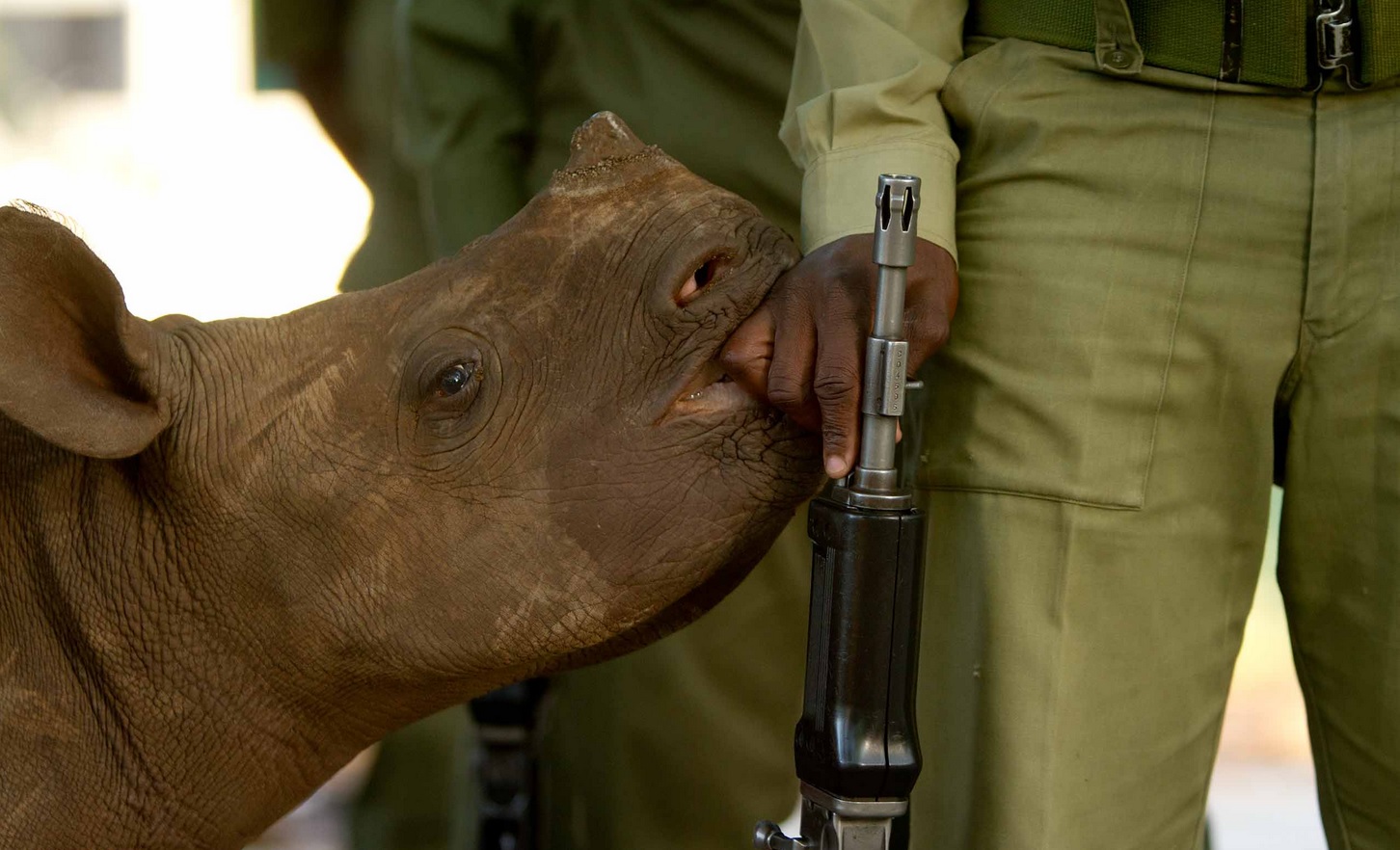 ���������