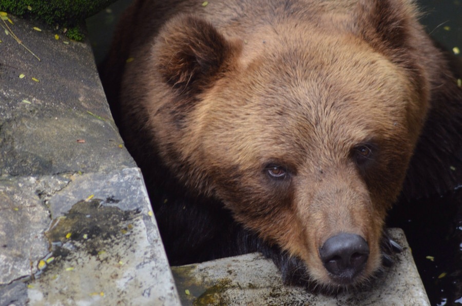 ���������