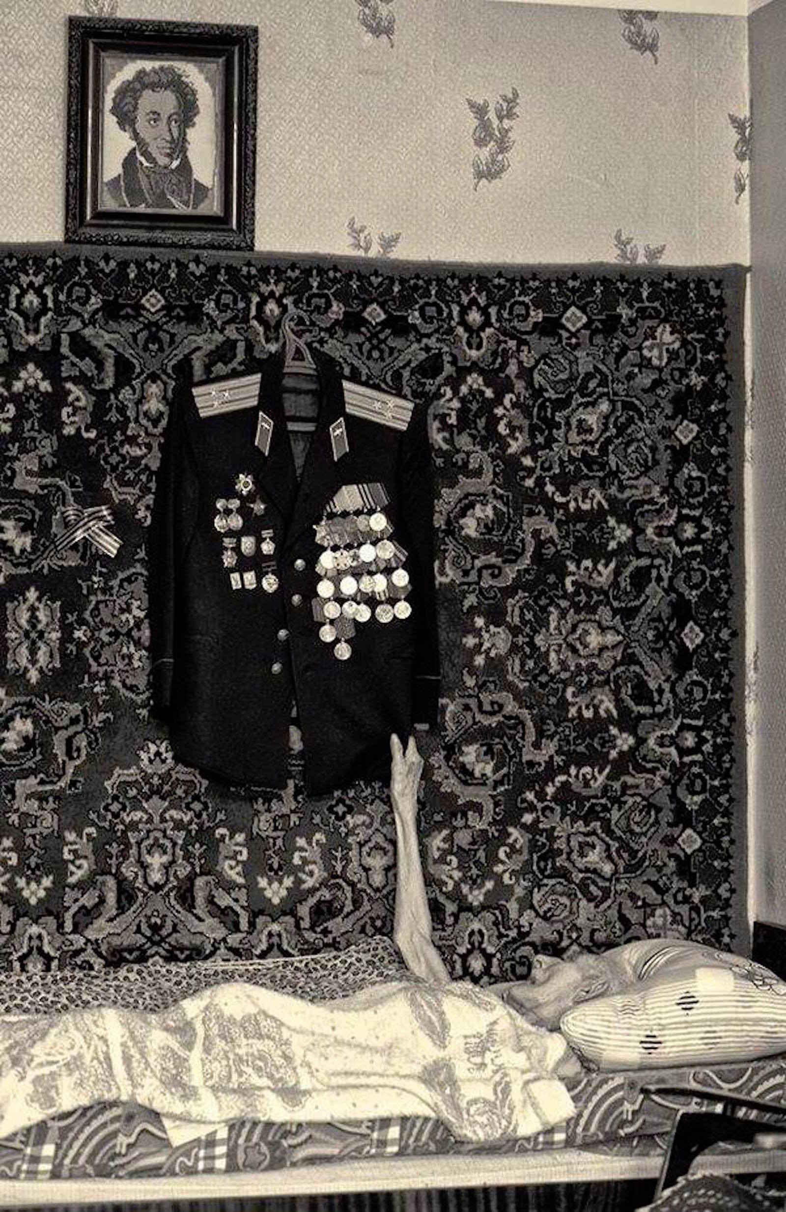 ���������