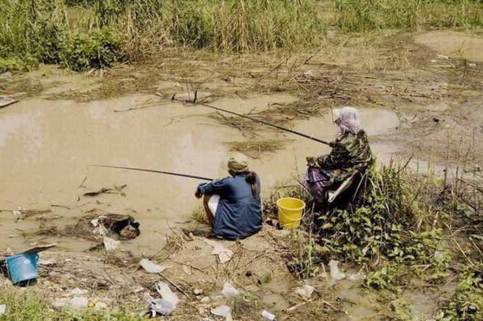 ���������