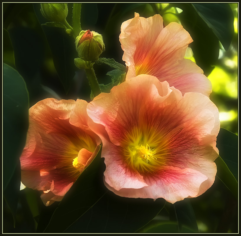 ���������