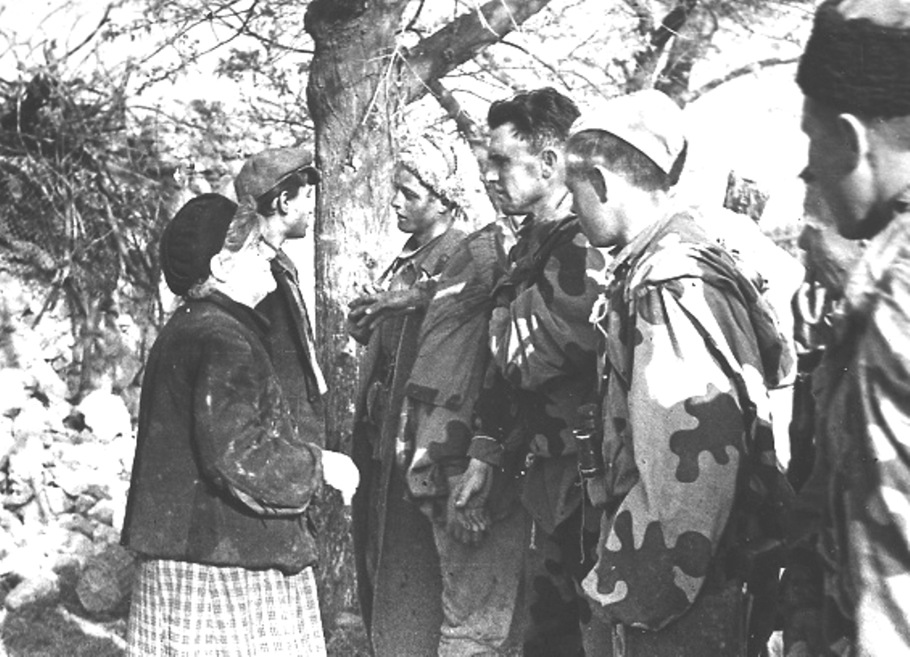 ���������