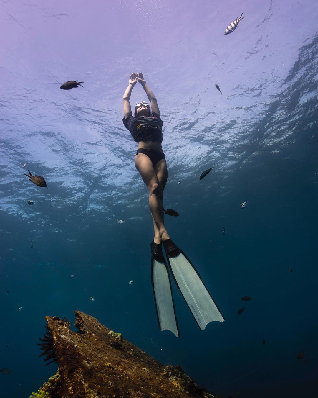 ���������