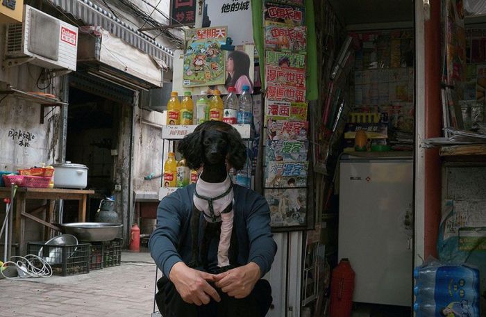 ���������