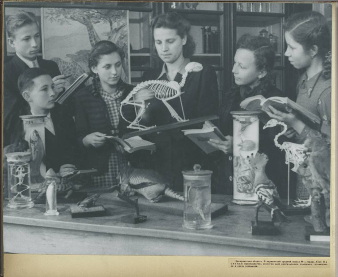 ���������