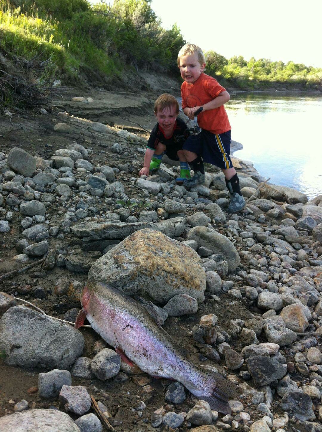 ���������