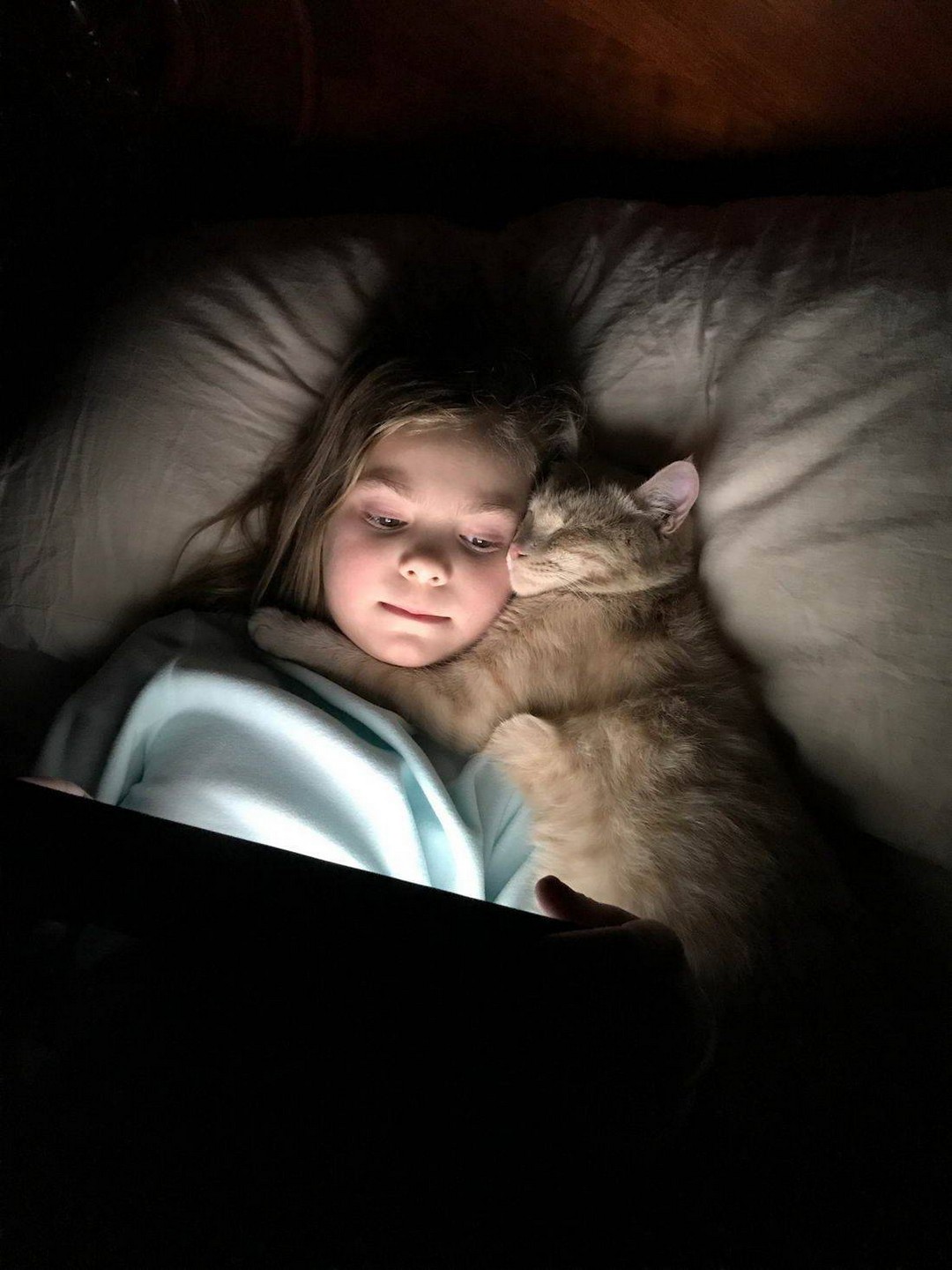 ���������