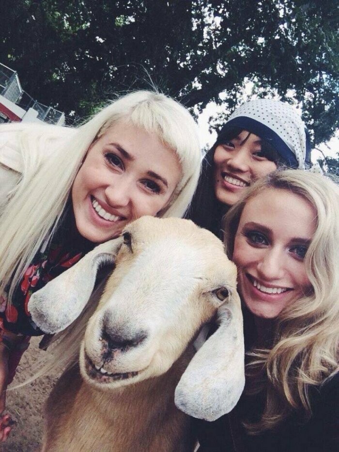 ���������