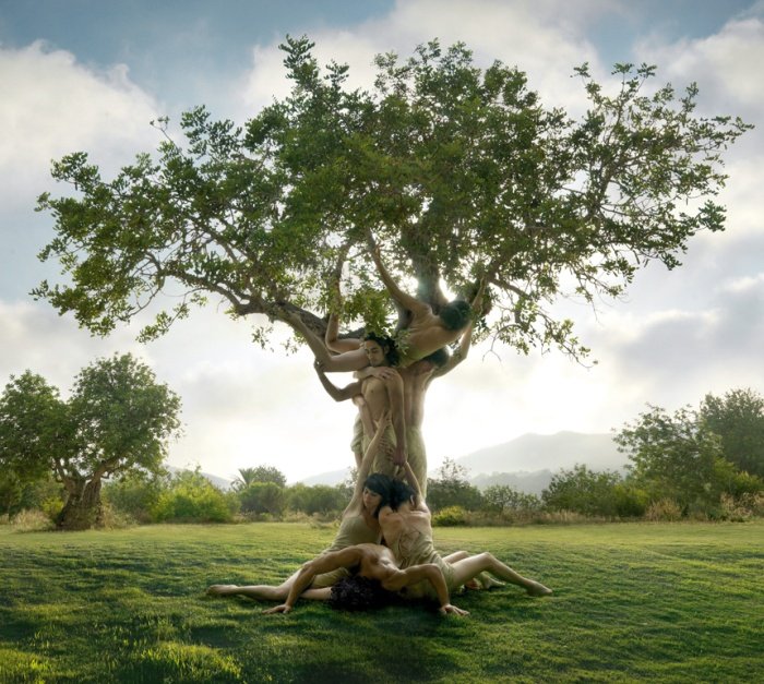 ���������