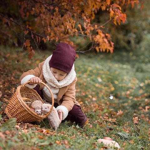 ���������