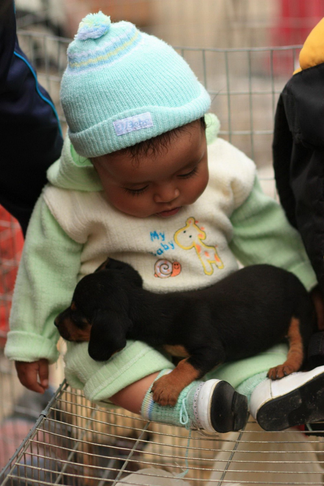 ���������