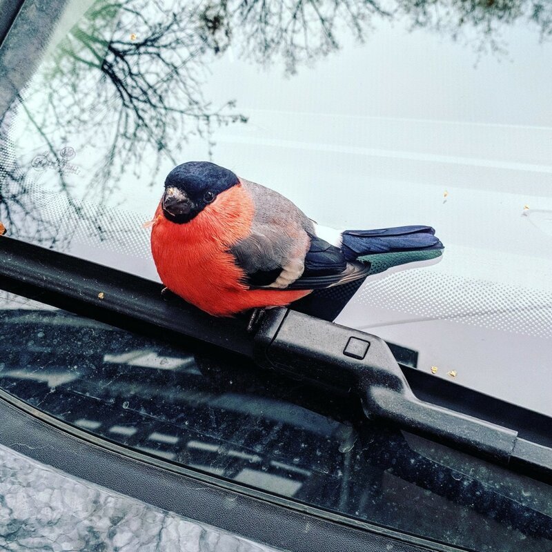 ���������