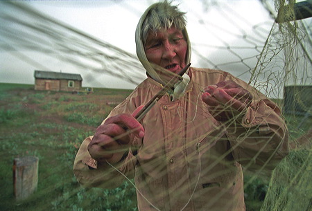 ���������