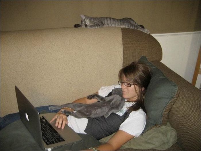 ���������