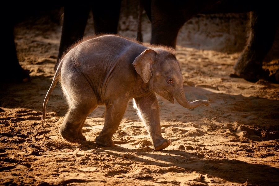 ���������