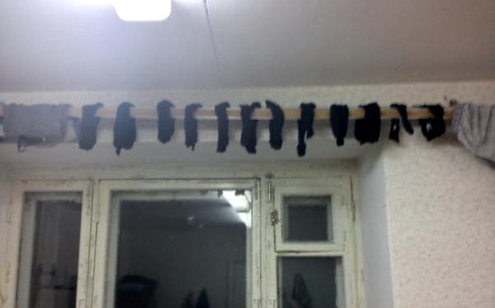 ���������