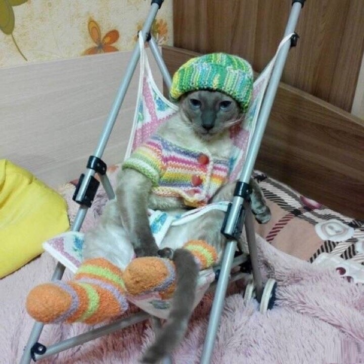 ���������