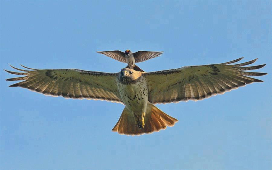 ���������