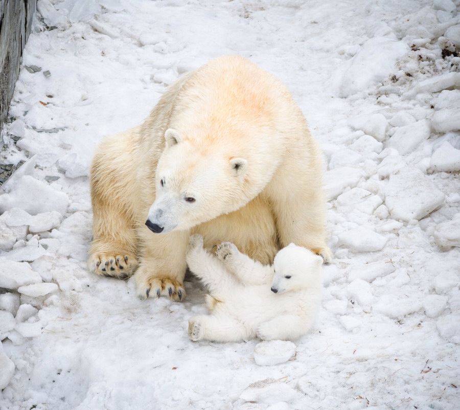 ���������