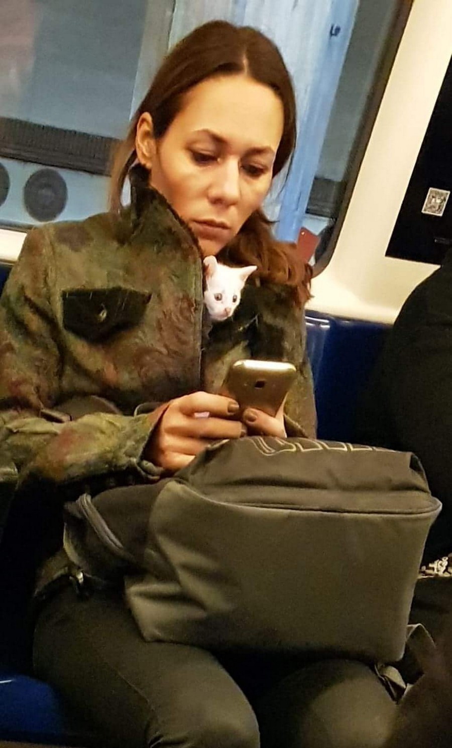 ���������