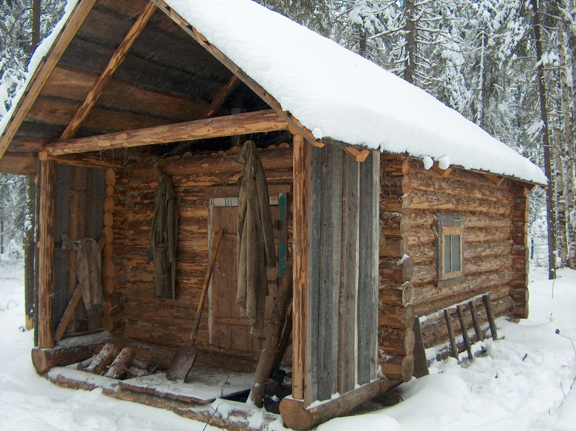 ���������